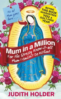 Cover image: Mum in a Million 9781409145585