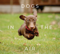 Cover image: Dogs in the Air 9781409160724