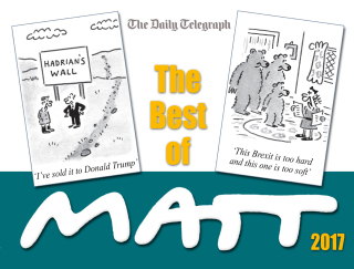Cover image: The Best of Matt 2017 9781409164647