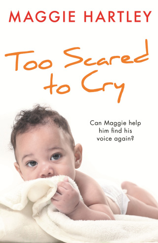 Cover image: Too Scared to Cry 9781409167419