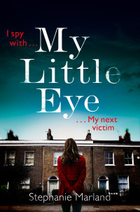 Cover image: My Little Eye 9781409171973