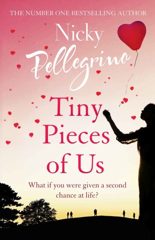 Cover image: Tiny Pieces of Us 9781409179016