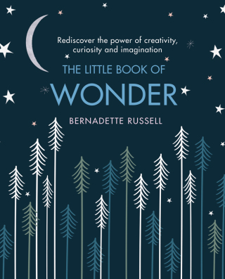 Cover image: The Little Book of Wonder 9781409183013