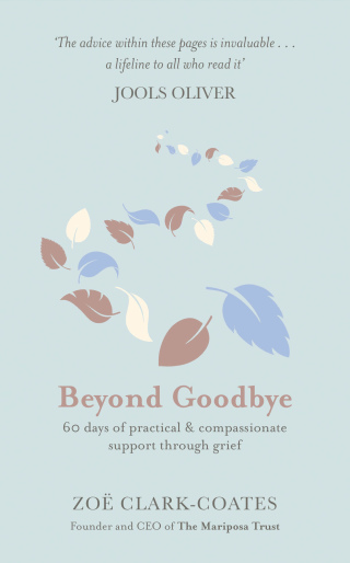 Cover image: Beyond Goodbye 9781409185406