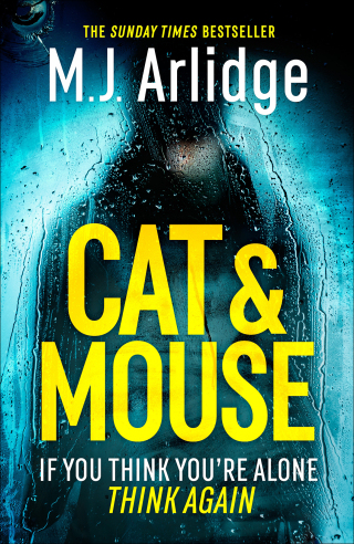 Cover image: Cat And Mouse 9781409188506
