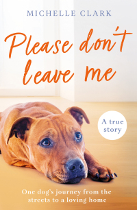 Cover image: Please Don't Leave Me 9781409195450