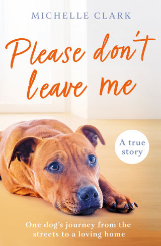 Cover image: Please Don't Leave Me 9781409195450