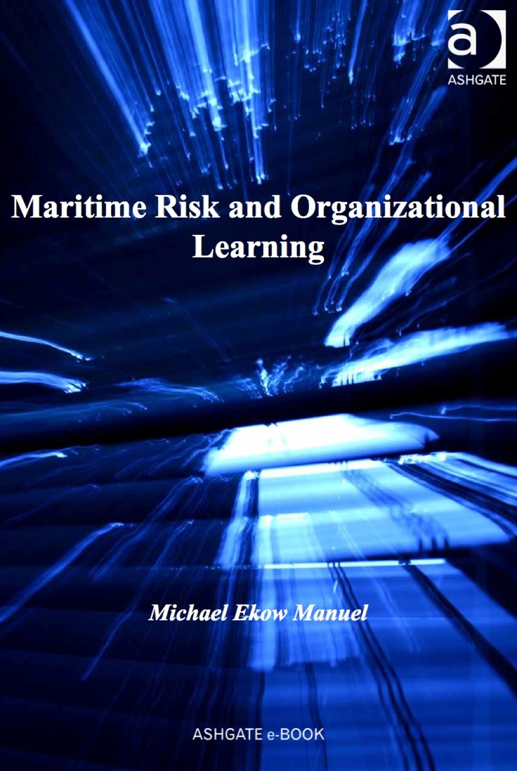 Maritime Risk and Organizational Learning