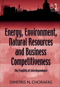 Imagen de portada: Energy, Environment, Natural Resources and Business Competitiveness: The Fragility of Interdependence 9780566092343