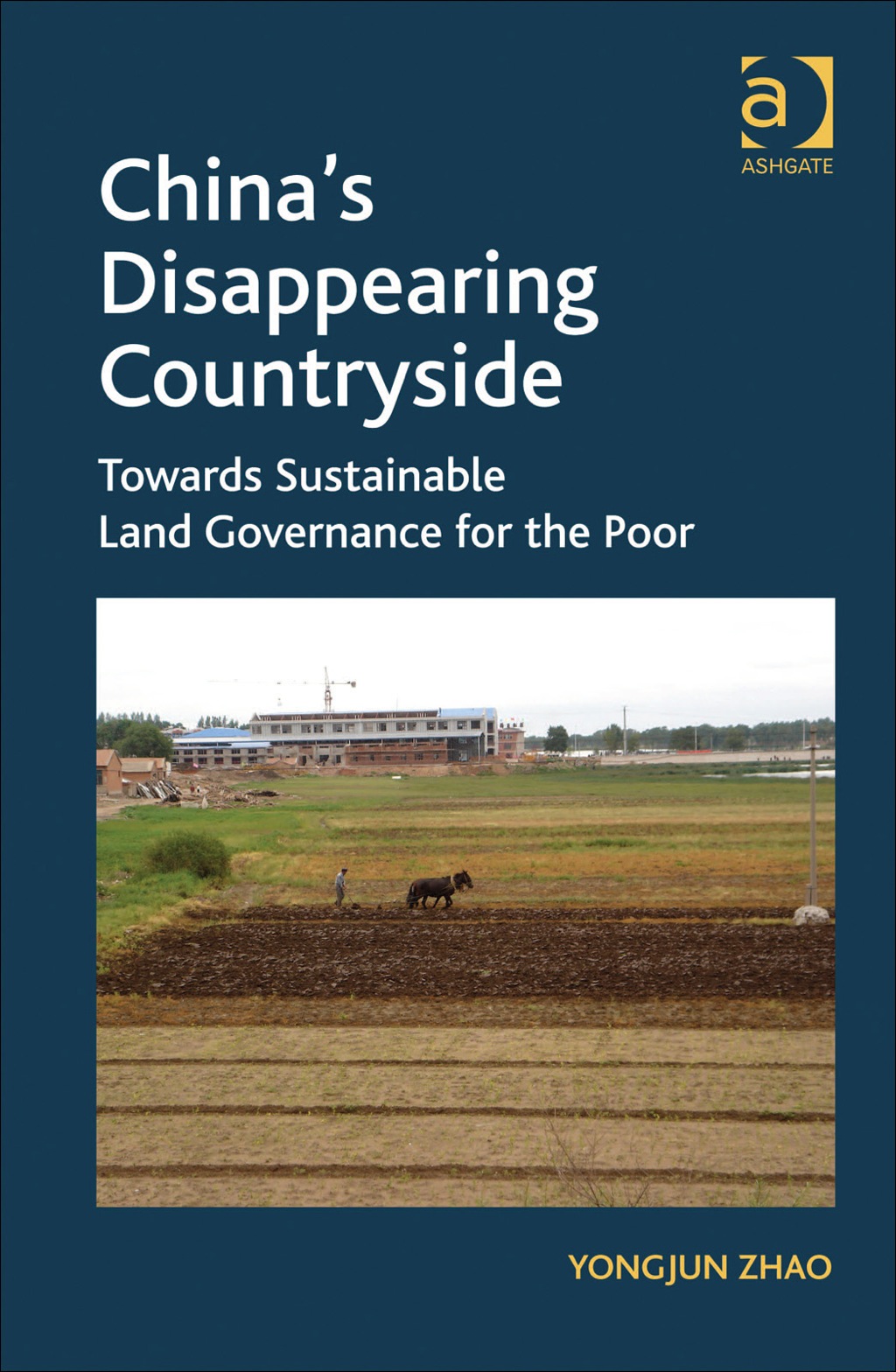 China’s Disappearing Countryside: Towards Sustainable Land Governance for the Poor