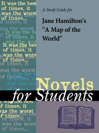 صورة الغلاف: A Study Guide for Jane Hamilton's A Map of the World 1st edition 9781414494883