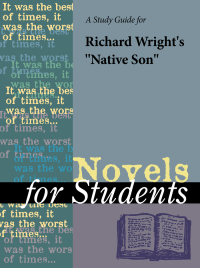 表紙画像: A Study Guide for Richard Wright's Native Son 1st edition 9780787638269