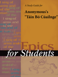 Cover image: A Study Guide for Anonymous's "Tain Bo Cuailnge" 1st edition 9781414476216