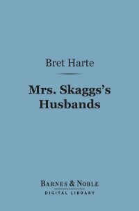 Cover image: Mrs. Skaggs's Husbands (Barnes & Noble Digital Library) 9781411449541