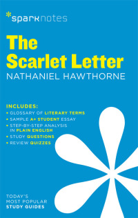Cover image: The Scarlet Letter SparkNotes Literature Guide 9781586633509