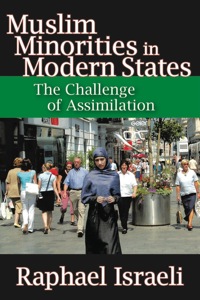 Imagen de portada: Muslim Minorities in Modern States 1st edition 9781412808750