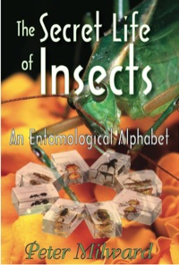 Cover image: The Secret Life of Insects 1st edition 9781412810111