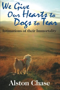 Omslagafbeelding: We Give Our Hearts to Dogs to Tear 1st edition 9781412807791