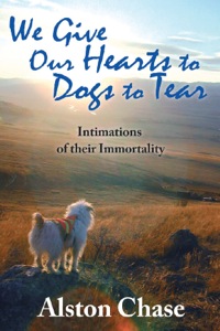 Imagen de portada: We Give Our Hearts to Dogs to Tear 1st edition 9781412807791