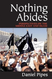 Cover image: Nothing Abides 1st edition 9781412856836