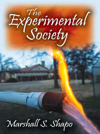 Omslagafbeelding: The Experimental Society 9781412857031