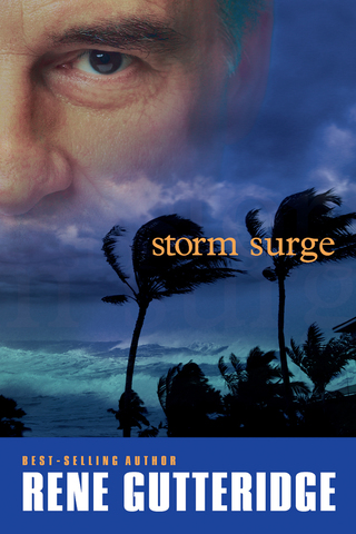 Cover image: Storm Surge 9780842387668