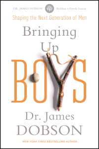 Immagine di copertina: Bringing Up Boys 9781414391335