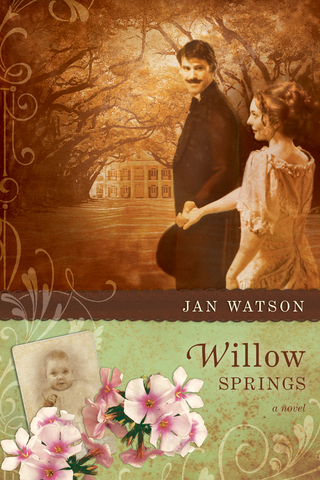 表紙画像: Willow Springs 9781414314723