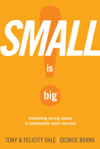 Cover image: Small Is Big! 9781414339412