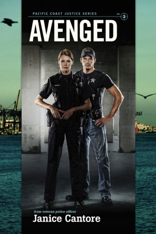 Imagen de portada: Avenged 9781414358499