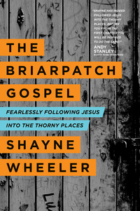 Imagen de portada: The Briarpatch Gospel 9781414372303
