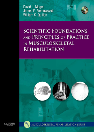 表紙画像: Scientific Foundations and Principles of Practice in Musculoskeletal Rehabilitation 9781416002505
