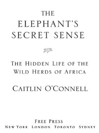 Cover image: The Elephant's Secret Sense 9780743284417