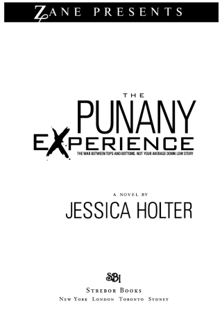 Cover image: The Punany Experience 9781593091613