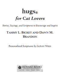 Cover image: Hugs for Cat Lovers 9781476751436