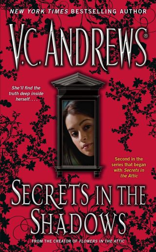 Cover image: Secrets in the Shadows 9781416530831