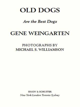 Cover image: Old Dogs 9781416534990