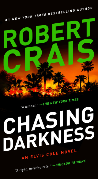 Cover image: Chasing Darkness 9781982163822