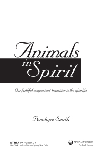 Cover image: Animals in Spirit 9781582701776