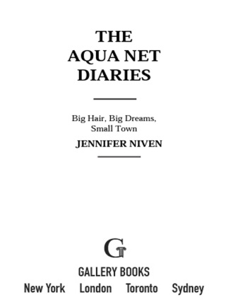 Cover image: The Aqua Net Diaries 9781416954293