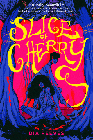 Cover image: Slice of Cherry 9781665973892