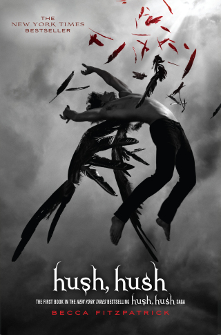 Cover image: Hush, Hush 9781416989424