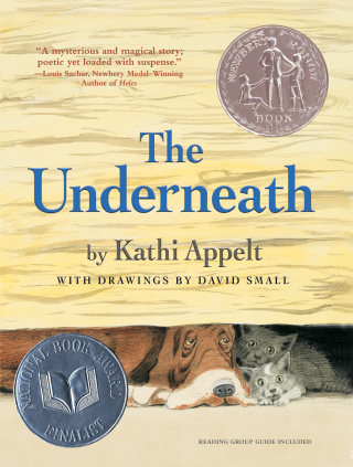 Cover image: The Underneath 9781416950592