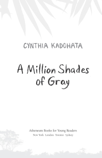 Cover image: A Million Shades of Gray 9781442429192