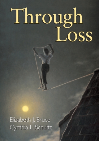 Cover image: Through Loss 9781417588688