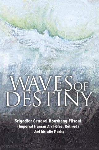 Cover image: Waves of Destiny 9781418435967