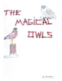 Imagen de portada: The Magical Owls