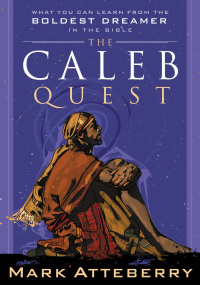 Cover image: The Caleb Quest 9780785287841