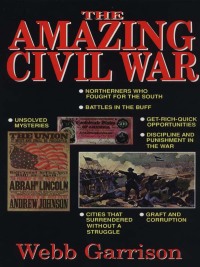 Imagen de portada: The Amazing Civil War 9781558535855