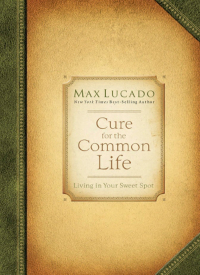 Cover image: Cure for the Common Life 9780849947087